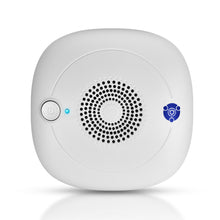 Load image into Gallery viewer, Enerzen O-111 Negative Ion and 50mg/h Ozone Generator - High Output Wall Plug In Travel Air Purifier Deodorizer Ionizer - Bathroom Pet Hair Odor Allergies Smoke Bacteria Eliminator